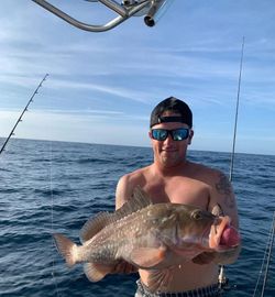 Big fish caught in FL
