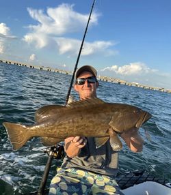 Gag Grouper fish caught while fishing in FL