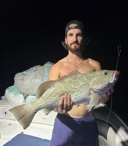 A 27-inch gag grouper caught while fishing in FL