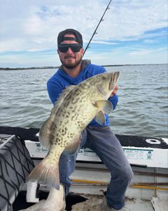 Gag Grouper fishing in FL