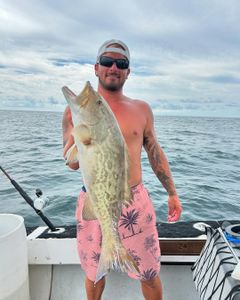 Gag Grouper fish caught fishing in FL