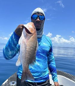 Impressive grey snapper caught in FL