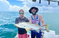 A single Snook fish caught while fishing in FL.