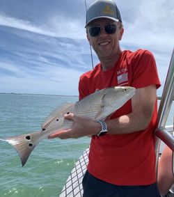 Best Redfish Fishing in Florida!