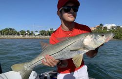 Snook fish caught while fishing in FL