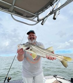 Photograph of a single snook fish caught during fishing in St. Petersburg