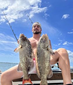 Two gag grouper fish caught in FL