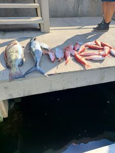 Crystal River Florida Top Fishing Charters