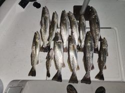 Trout fishing in Florida Waters