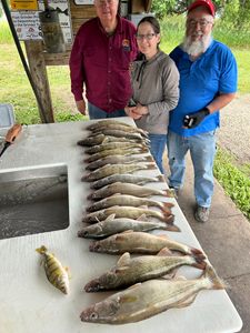 4 big fish caught in Pierre, South Dakota while fishing