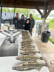 3 unidentified big fish caught by 4 people in Pierre