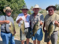4 smallmouth bass caught in SD