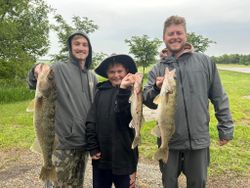 3 big fish caught in Pierre by fishing
