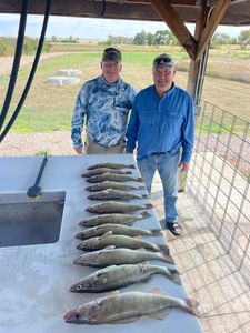 Three big fishing adventure in SD
