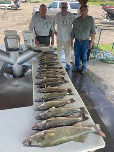 3 walleye caught in Pierre, South Dakota