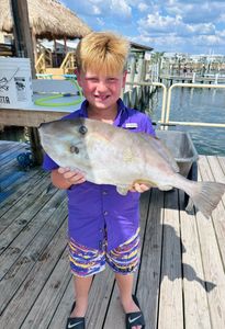 Angler fishing in FL