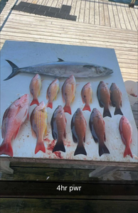 10 fish caught on fishing trip in Pensacola