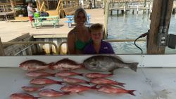 6 fish caught while fishing in Florida