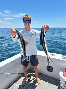 Two cobia fish caught while fishing in Florida