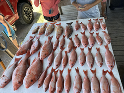 Fisherman catches 9 big fish in Pensacola