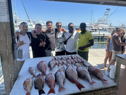 6 fish caught while fishing in Pensacola