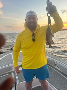 Gag Grouper caught fishing in FL
