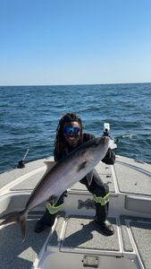 A huge Greater Amberjack fish caught by one person in Pensacola