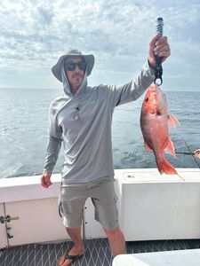 Grey Snapper caught while fishing in FL