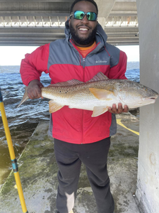 A lone angler fishing in Pensacola