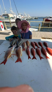 Four large fish caught while fishing in Pensacola