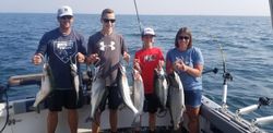 Explore Olcott's Trout Trails