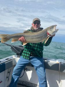 Salmon Safari: Book Now