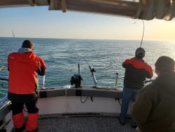 Lake Ontario's Fishing Euphoria