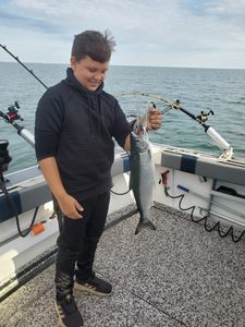 Salmon Spectacle Awaits You