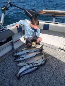Navigate Lake Ontario's Bounty