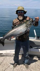 Salmon Fever Strikes Here
