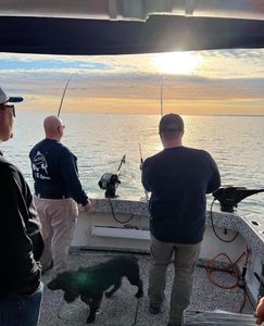 Olcott NY: Trout Fishing Paradise