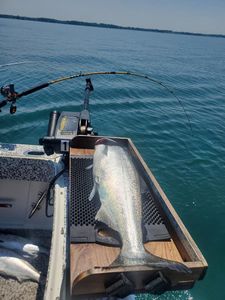 Prime Olcott NY Fishing Spot