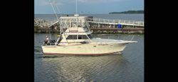 Scenic view of Olcott fishing location