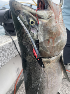 Caught a big one at the lake today!