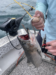 Caught a nice one on the lake today!