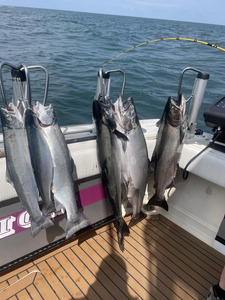 Hooked a nice catch on the open waters today.