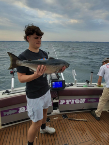 Reeling in a huge catch with deep sea trolling in Olcott!