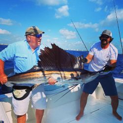 Sailfish Fishing In Lake Worth Beach, FL