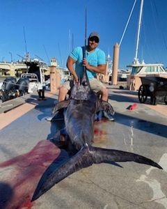Large Swordfish From Lake Worth Beach, FL