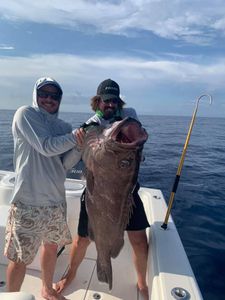 A monster of a Misty grouper. 
