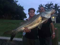 Snook Fishing In Lake Worth Beach, FL