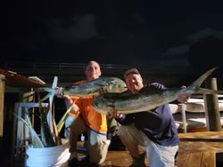 A few Mahi's from under a floating tree