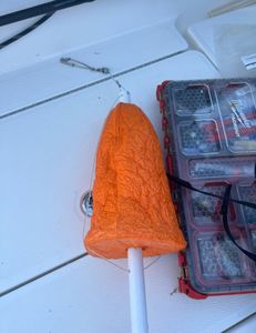 Fishing in Florida