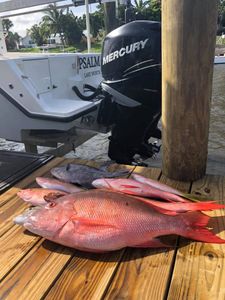 Fishing in FL